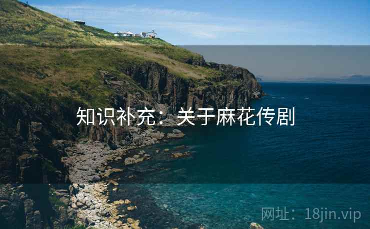 知识补充：关于麻花传剧