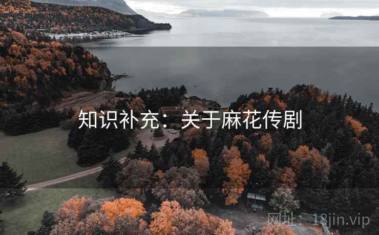 知识补充：关于麻花传剧