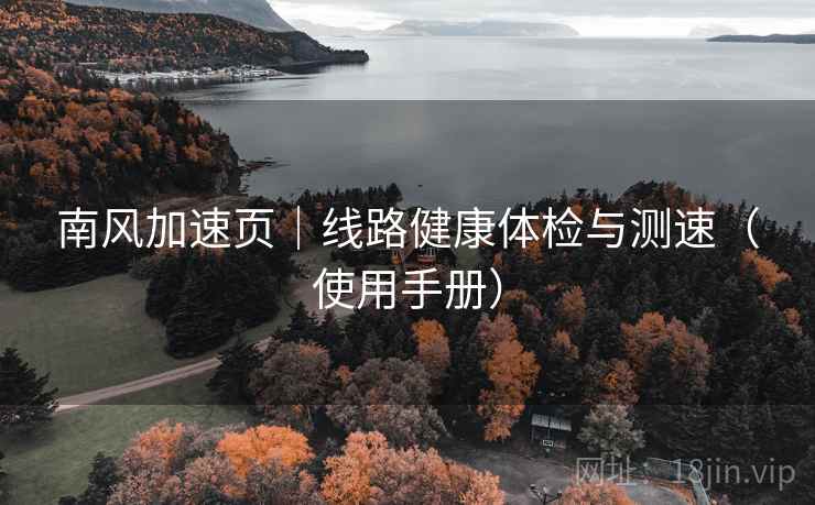 南风加速页｜线路健康体检与测速（使用手册）