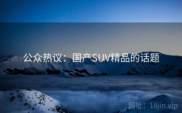 公众热议：国产SUV精品的话题